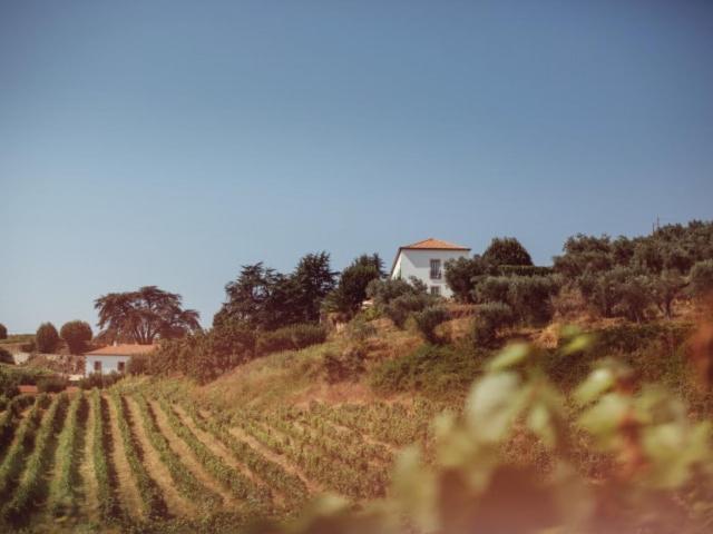 Hotel Rural Casa Dos Viscondes Da Varzea Lamego Zewnętrze zdjęcie