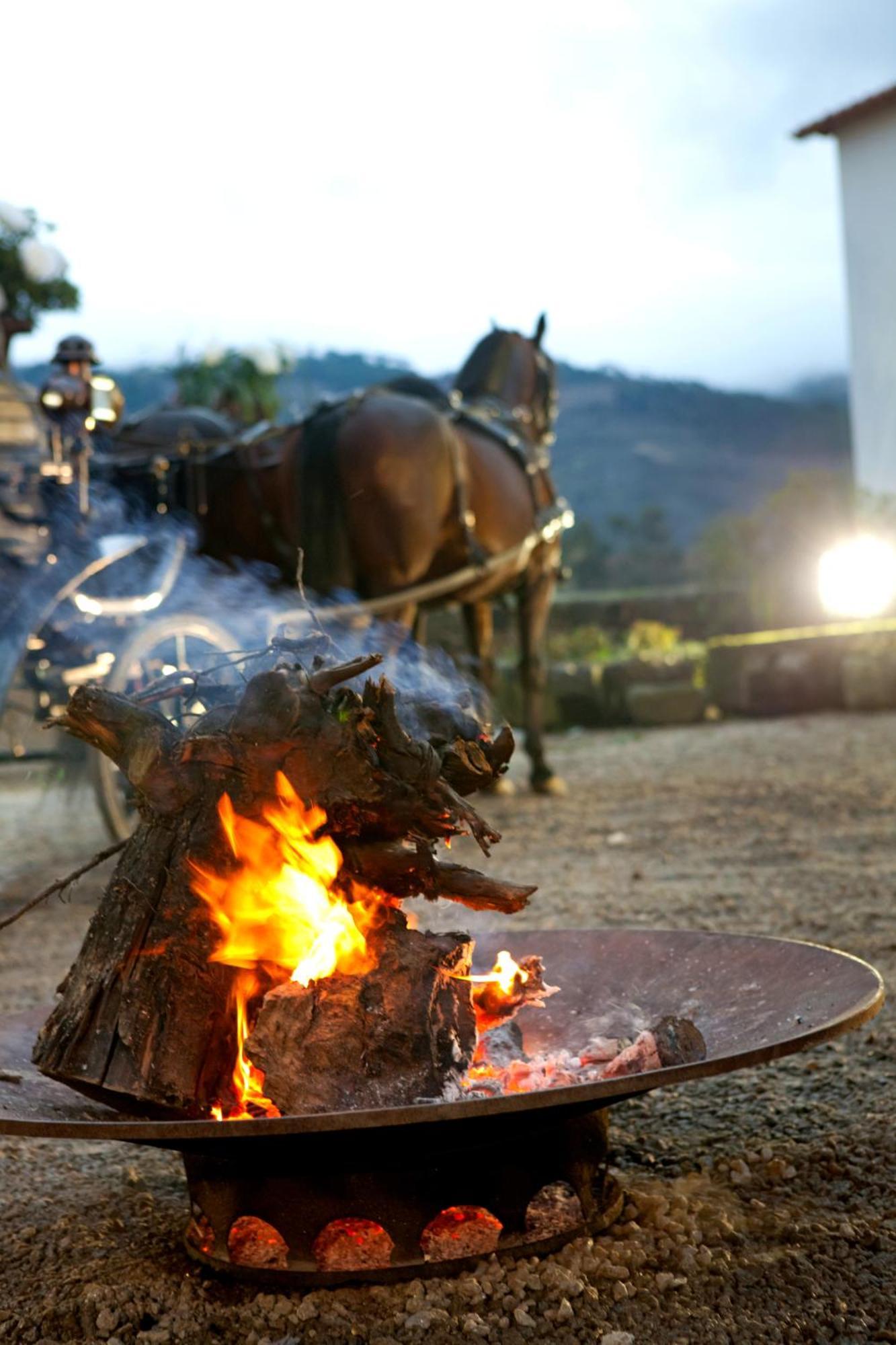 Hotel Rural Casa Dos Viscondes Da Varzea Lamego Zewnętrze zdjęcie