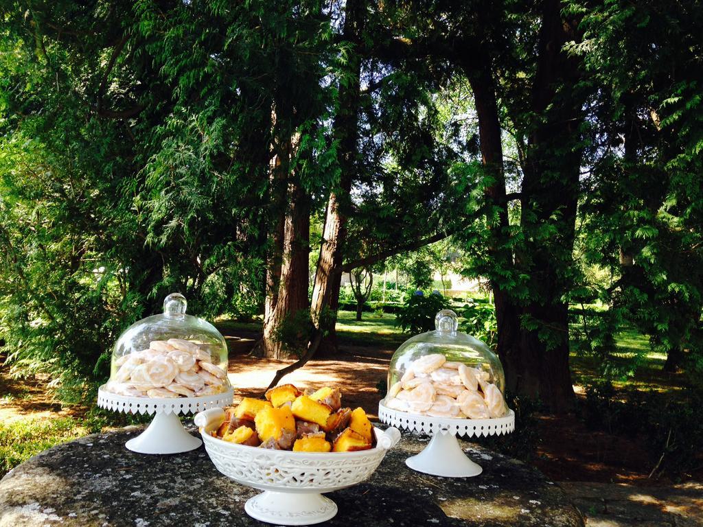 Hotel Rural Casa Dos Viscondes Da Varzea Lamego Zewnętrze zdjęcie