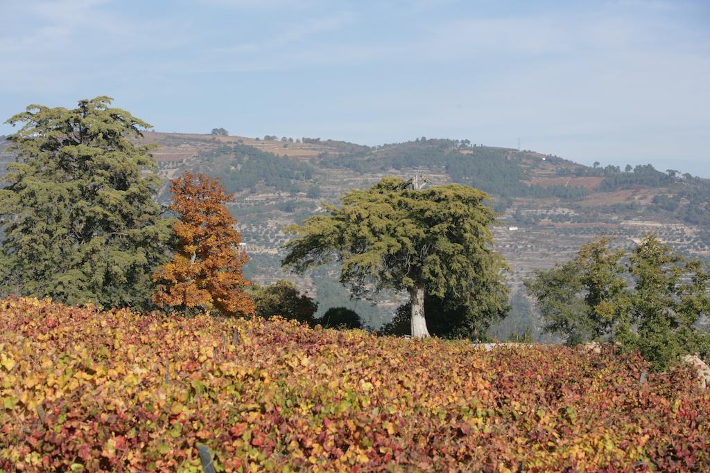 Hotel Rural Casa Dos Viscondes Da Varzea Lamego Zewnętrze zdjęcie